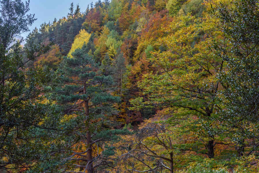 Huesca - parque nacional de Ordesa y Monte Perdido - valle de Añisclo 96 - cañon de Añisclo.jpg